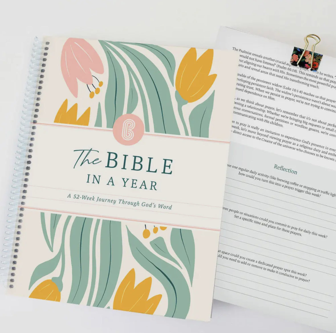 The Bible In a Year: 52 week Journey in God’s Word