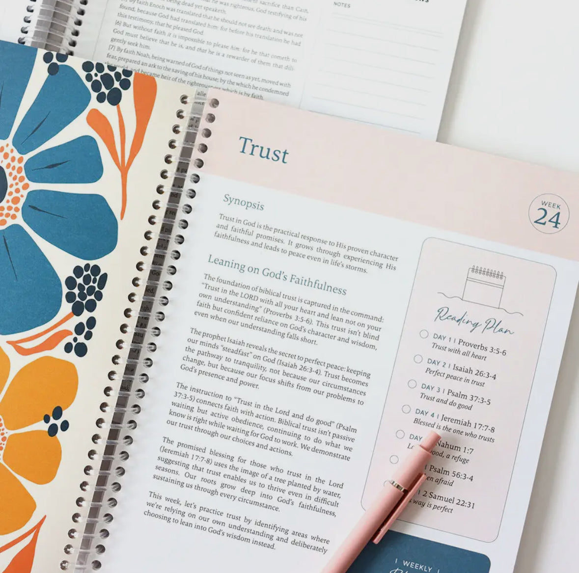 The Bible In a Year: 52 week Journey in God’s Word